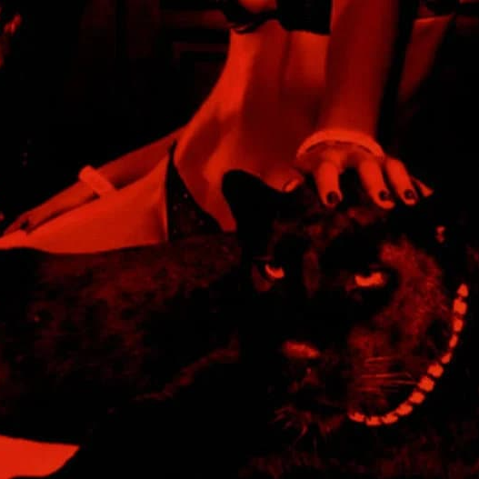 Seduction Charm Spell Demonic Black Magic Succubus